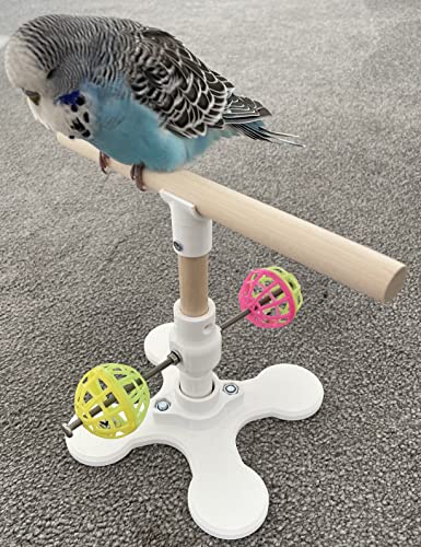 Rotierendes Spielzeug für Vögel, Sitzstange mit drehbarem Ständer (kleine bis mittelgroße Vögel) von Generic