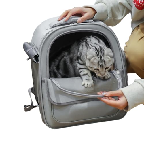 Rucksack für Katzen, Transportbox für Haustiere, mit Blasenbelüftung und komfortablem Design, bequemes Zubehör für Katzen und kleine Hunde, tragbarer Rucksack für Welpen und von Generic