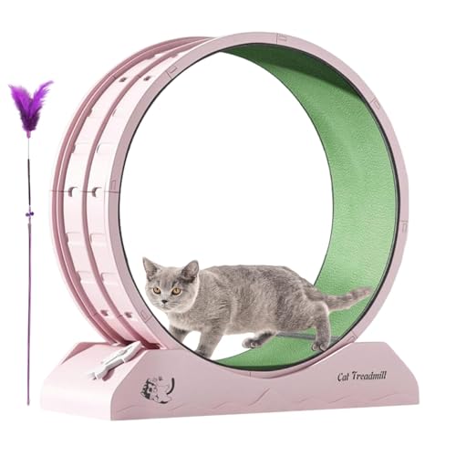 Running Wheel for Cats, Exercise Wheel for Cats, Fitness Equipment for Kitten | Anti-Falling Treadmill Running Fitness Workout Wheels with Teaser for Indoor Cats Running Wheel for Cats, Exercise Wheel for Cats, Fitness Equipment for Kitten | Anti-Falling Treadmill Running Fitness Workout Wheels with Teaser for Indoor Cats von Generic