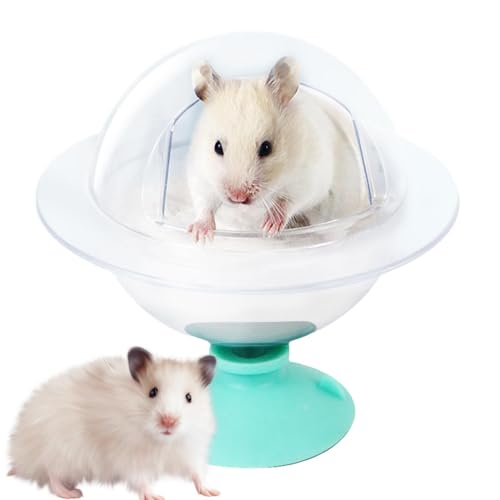 Sandbadbox für Hamster, Sandbadbehälter für Hamster, Duschraum, Hamster, Chinchilla, Katzentoilette, Sandbehälter zum Graben, Entspannungshaus für syrische Hamster Sandbadbox für Hamster, Sandbadbehälter für Hamster, Duschraum, Hamster, Chinchilla, Katzentoilette, Sandbehälter zum Graben, Entspannungshaus für syrische Hamster von Generic