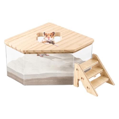 Sandbehälter für Hamster – Badebox aus Hamsterstaub, Badebox für Hamster mit großem Fassungsvermögen | Innendekoration für den Lebensraum von Kleintieren, Wüstenrennmaus-Toilette für Wohnzimmer Sandbehälter für Hamster – Badebox aus Hamsterstaub, Badebox für Hamster mit großem Fassungsvermögen | Innendekoration für den Lebensraum von Kleintieren, Wüstenrennmaus-Toilette für Wohnzimmer von Generic