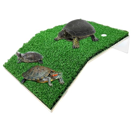Schildkröten- -Aufstieg – Sonnenrampe | Mehrzweck-Dekoration für Schildkrötenbecken | Schildkrötenbecken Zubehör | Haustier-Kunstrasen für Zuhause von Generic