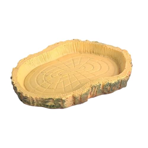 Schildkröten -Fütterungsgerichte, Reptilienfuttergericht, Simulation Pet Bowl, Tragbarer -Feeder, lustige Wasserschale für Zuhause, Aquarium Schildkröten -Fütterungsgerichte, Reptilienfuttergericht, Simulation Pet Bowl, Tragbarer -Feeder, lustige Wasserschale für Zuhause, Aquarium von Generic