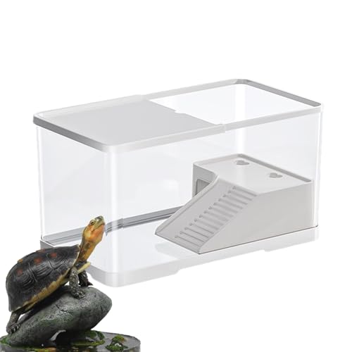 Schildkröten-Lebensraumbecken - Schildkrötenbecken, Reptilienbecken mit Sonnenplattform | Aquatisches Schildkrötenaquarium, Lebensraum für Reptilien, Lebensraum für Schildkrötenaquarien Schildkröten-Lebensraumbecken - Schildkrötenbecken, Reptilienbecken mit Sonnenplattform | Aquatisches Schildkrötenaquarium, Lebensraum für Reptilien, Lebensraum für Schildkrötenaquarien von Generic