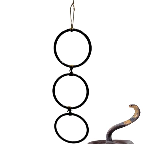 Schlangenanreicherungsspielzeug, Schlangen-Terrarium-Zubehör, Schaukel-Kette, 3 Ringe, Spielzeug-Dekorationen für Haustier-Lebensraum, Haus, Amphibien Schlangenanreicherungsspielzeug, Schlangen-Terrarium-Zubehör, Schaukel-Kette, 3 Ringe, Spielzeug-Dekorationen für Haustier-Lebensraum, Haus, Amphibien von Generic