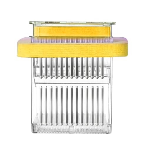 Schwimmender Aquarium-Züchter – Futterautomat Brutkasten | Guppy Breeder Box | Guppy Breeder Box | Floated Guppy Zuchtbox für kleine Fische | Transparenter Pflegekoffer Aquatic Life Inkubator Case Schwimmender Aquarium-Züchter – Futterautomat Brutkasten | Guppy Breeder Box | Guppy Breeder Box | Floated Guppy Zuchtbox für kleine Fische | Transparenter Pflegekoffer Aquatic Life Inkubator Case von Generic