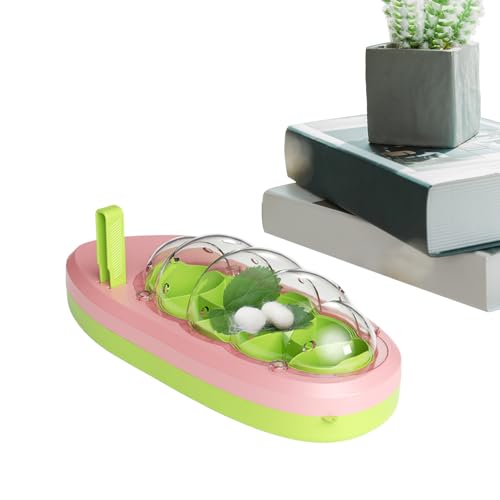 Seidenraupen Züchterbox | Raupen Aufzuchtbox Für Schlüpfen - Atmungsaktiver Kleintierkäfig Für Kinder Jugendliche Mit Sicherer Tierhaltung Seidenraupen Züchterbox | Raupen Aufzuchtbox Für Schlüpfen - Atmungsaktiver Kleintierkäfig Für Kinder Jugendliche Mit Sicherer Tierhaltung von Generic