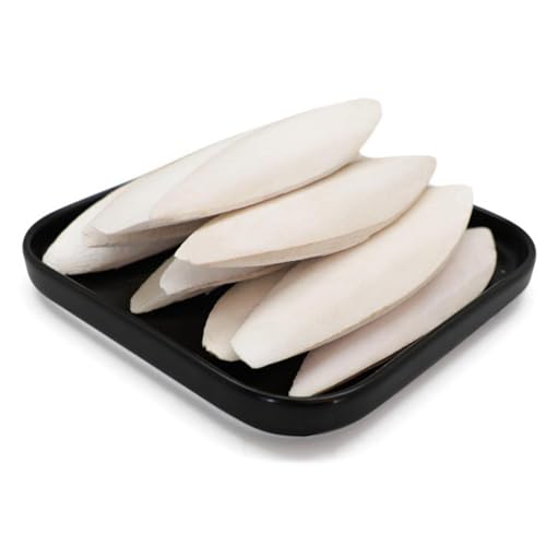 Sepia für S, Sepia für Vögel, Käfig-Spielzeug für Vögel, Tank, Jibia, 10 Stück, Nahrungsergänzungsmittel für Haustiere, Knochen für S, Papageien, Vögel, Hamster und Schnecken Sepia für S, Sepia für Vögel, Käfig-Spielzeug für Vögel, Tank, Jibia, 10 Stück, Nahrungsergänzungsmittel für Haustiere, Knochen für S, Papageien, Vögel, Hamster und Schnecken von Generic