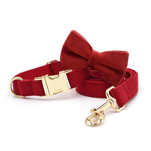 Set mit Hundehalsband und Leine – einstellbar mit Fliege, Roségold, süßes Haustier Zubehör für Welpen von Generic