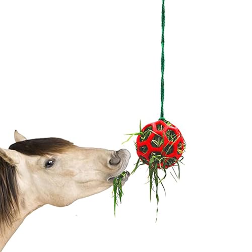 Snack Snack Ball Heu Heu Ball Spielzeug Hängen Spielzeug Für Stabile Fütterung Hayfi Snack Horse Snack Ball Hayfi Snack Snack Snack Snack Ball Heu Heu Ball Spielzeug Hängen Spielzeug Für Stabile Fütterung Hayfi Snack Horse Snack Ball Hayfi Snack Snack von Generic