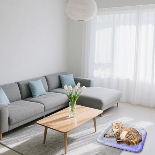 Sommer Haustier EIS Matte Hause Atmungsaktive Katze Schlaf Matte Coole Hundehütte Katze Schlaf Matte Haustier Hnw746 (I, 80x65cm) von Generic