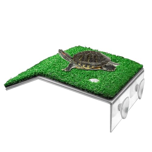Sonnenbereich, Schildkrötendock,Gemütlicher schwimmender Schildkröten-Dock-Schildkröten-Sonnenbereich - Einfach einzurichtender Schildkröten-Aalplatz für Aquarien, praktische Wasserschildkröten-Aalflä Sonnenbereich, Schildkrötendock,Gemütlicher schwimmender Schildkröten-Dock-Schildkröten-Sonnenbereich - Einfach einzurichtender Schildkröten-Aalplatz für Aquarien, praktische Wasserschildkröten-Aalflä von Generic