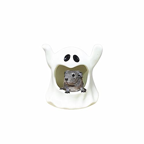 Specter Keramik Meerschweinchen Bett Cool Cave Beds Hamster House Versteck für Chinchilla Kaninchen Zwerghase Frettchen Hase Igel Ratten Sommerkäfig Nest von Generic