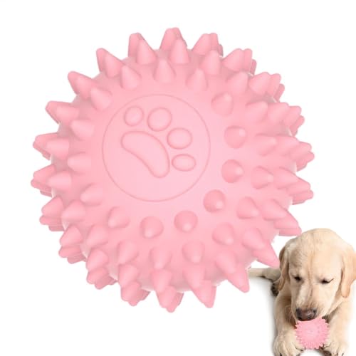 Spielzeug für Hunde für kleine Hunde – Beißspielzeug für Welpen, Beißspielzeug für Welpen, ungiftig, Spielzeug für Welpen, Spielzeug für Hunde, Kauknochen Spielzeug für Hunde für kleine Hunde – Beißspielzeug für Welpen, Beißspielzeug für Welpen, ungiftig, Spielzeug für Welpen, Spielzeug für Hunde, Kauknochen von Generic