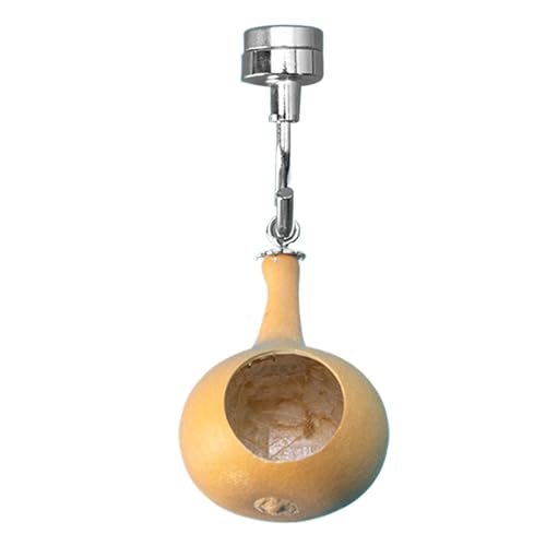 Springendes Spinnennest, Springspinnendekor - Springen Spinnengehäuse Natürliche Trinkflasche mit Magnetismus | Springender Spinne Lautsprecher aus natürlichen , für eine süße Dekoration} Springendes Spinnennest, Springspinnendekor - Springen Spinnengehäuse Natürliche Trinkflasche mit Magnetismus | Springender Spinne Lautsprecher aus natürlichen , für eine süße Dekoration} von Generic