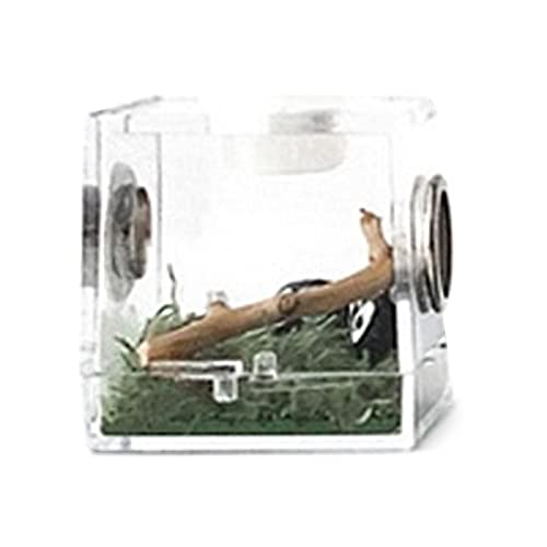 Springspinne-Box – Insektenzuchtbox, Reptilienzuchtgehege | Leichter Tier-Terrarium-Glasbehälter mit Belüftungslöchern, Glas-Tiere-Reptilientank für Spinnen-Eidechsen-Skorpion Springspinne-Box – Insektenzuchtbox, Reptilienzuchtgehege | Leichter Tier-Terrarium-Glasbehälter mit Belüftungslöchern, Glas-Tiere-Reptilientank für Spinnen-Eidechsen-Skorpion von Generic