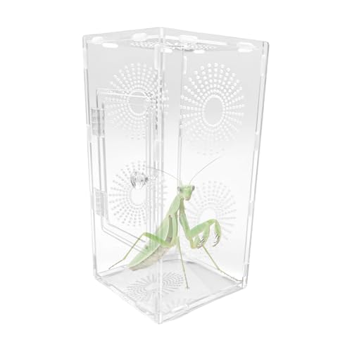 Springspinnen Terrarium, Acryl Kleine Reptilien Aufenthalt Lebensraum | Atmungsaktiv Sicher Futterzubehör Für Erwachsene Kinder Familie Springspinnen Terrarium, Acryl Kleine Reptilien Aufenthalt Lebensraum | Atmungsaktiv Sicher Futterzubehör Für Erwachsene Kinder Familie von Generic