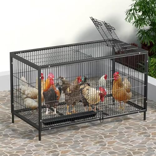 Stabiler Hühnerstall Mit 2cm Abstand, Großes Dachfenster Und Futternapf Garten-Hinterhof-Haustier-Geflügelstall, Für Enten, Kleintiere，einfache Montage(81 * 60 * 66cm) von Generic