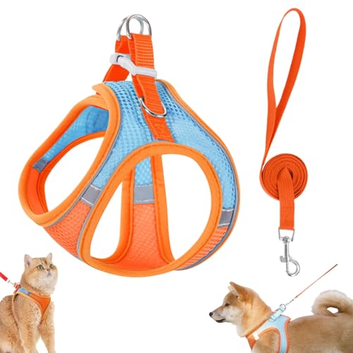 Stimulicat Katzengeschirr – ausbruchsicheres Set aus weicher Netzweste und Leine for Hauskatzen, No-Choke-No-Pull-Design mit Reflektorstreifen for sichere Spaziergänge(Blue+orange,X-Small) von Generic