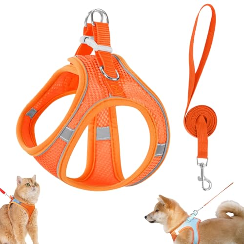 Stimulicat Katzengeschirr – ausbruchsicheres Set aus weicher Netzweste und Leine for Hauskatzen, No-Choke-No-Pull-Design mit Reflektorstreifen for sichere Spaziergänge(Orange,Medium) von Generic