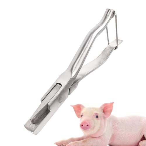 Swine Ear Notcher Plelings | Notcher zur Kennzeichnung des Bauernhofs aus Edelstahl | Viehmanagement | Identifikationswerkzeug für Tiere | Ergonomischer Griff für Pferd, Schaf Swine Ear Notcher Plelings | Notcher zur Kennzeichnung des Bauernhofs aus Edelstahl | Viehmanagement | Identifikationswerkzeug für Tiere | Ergonomischer Griff für Pferd, Schaf von Generic