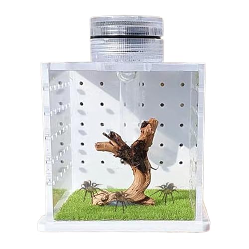 Tarantula Tank Closure - Jumping Spider Box, Luftbefeuchter-Konfiguration | Fütterung und Zuchtgehege für Reptilien von Bäumen, Amphibien, Spinnen und kleinen Lebensräumen von Haustieren von Generic
