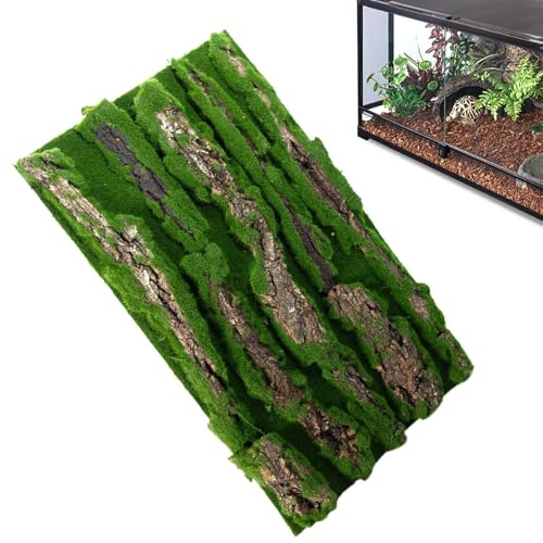 Terrarium-Hintergrund aus Kork für Reptilien, Lebensraumhintergrund für die Dekoration des Tanks, Dekoration für Reptilien mit künstlichem Moos, für Gecko, , , CAM von Generic