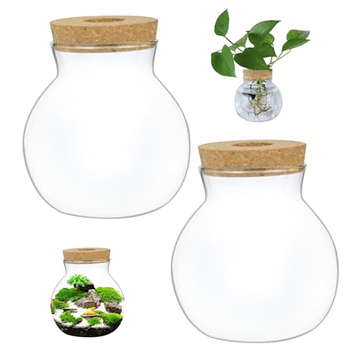 Terrariumglasglas Terrarium Transparent rund Landschaftsgläser mit Korkdeckel DIY -Glas -Terrarium für Pflanzen Farn Moos Sukkulente Luftpflanzen (M), 2PCS von Generic