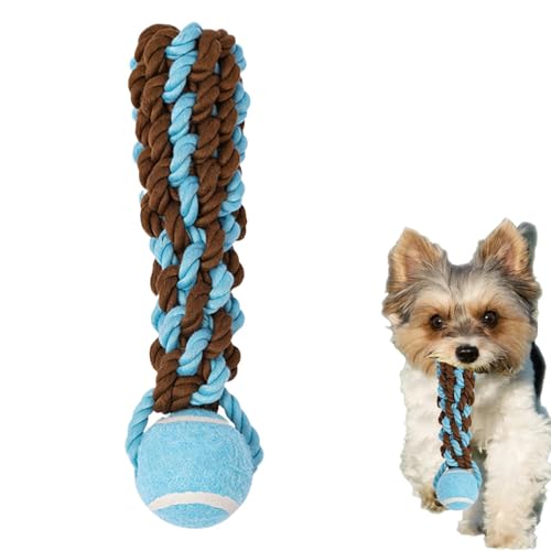Trainingsball für Hunde mit Seil, Hundespielzeug mit Seil und Ball, Ball für Hunde mit Seilspielzeug, Beißball für Haustiere | Interact Spielzeug Trainingsball für Hunde mit Seil, Hundespielzeug mit Seil und Ball, Ball für Hunde mit Seilspielzeug, Beißball für Haustiere | Interact Spielzeug von Generic