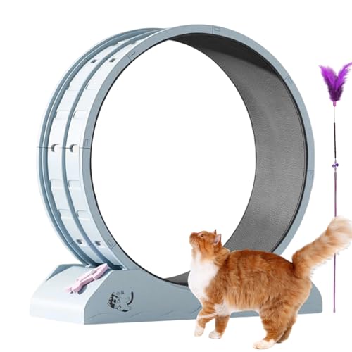 Trainingsrad für Katzen, Katzenrad -Training | Ruhige Trainingsausrüstung für Kätzchen - Laufrad mit Teaser für Innenkatzen Gewichtsverlust, Kätzchen -Laufband mit geringem Geräusch von Generic
