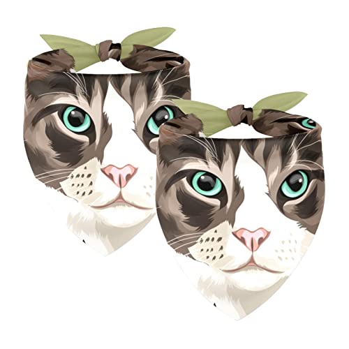 Transparentes Chiffon-Garn, Haustierhalsband, 2 Stück, niedlicher 3D-Cartoon-Katzen-Hundeschal, luftig und leicht, Katzen-Lätzchen von Generic