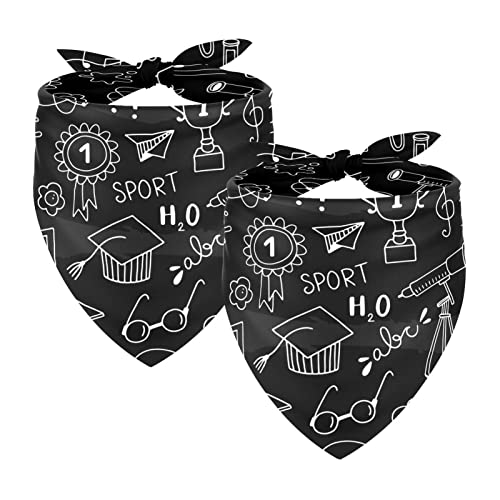 Transparentes Chiffon-Garn Haustierhalsbänder – 2 Stück abstraktes mathematisches Muster Hundeschal | luftig & leicht | Katzenlätzchen von Generic