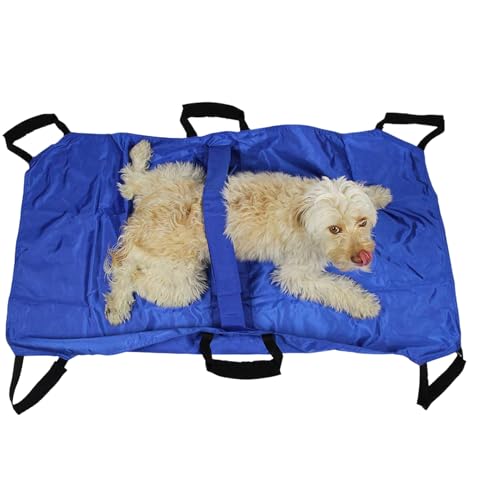 Transport-Hundetrage, Tragebahre für Tiere, multifunktional, faltbares Design, Patienten-Haustier-Transfer-Rettungswerkzeug mit Sicherheitsgurt für mittelgroße und große und Katzen von Generic