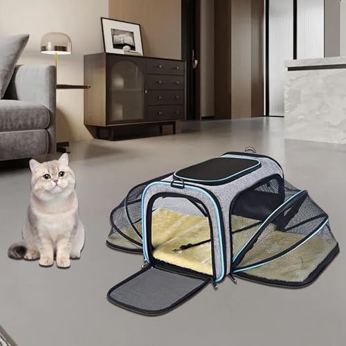 Transportbox für Haustiere: Von Fluggesellschaften zugelassene Transportbox für Haustiere, für Katzen und kleine Hunde, Gesichtstasche für Haustiere, Tragetasche D Transportbox für Haustiere: Von Fluggesellschaften zugelassene Transportbox für Haustiere, für Katzen und kleine Hunde, Gesichtstasche für Haustiere, Tragetasche D von Generic