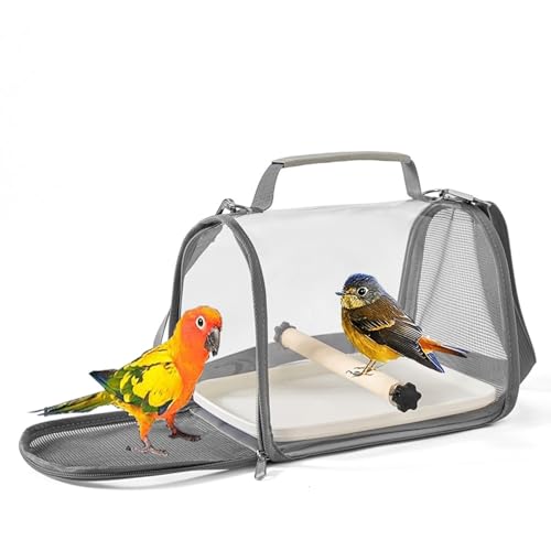 Transportbox für Vögel mit Sitzstange und Tablett, atmungsaktiv, faltbar, für kleine Vögel, Papageien, Sittiche, Eidechsen, Kleintiere für Reisen, Wandern von Generic