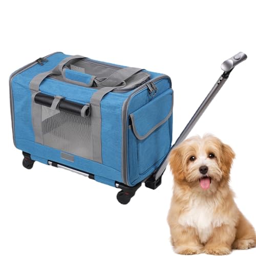 Transporttasche für Katzen – große Transporttasche für Katzen, Transporttasche für Hunde mit Rollen | Transporttasche für Haustiere mit Tragegurt, Reisetasche mit Rollen Transporttasche für Katzen – große Transporttasche für Katzen, Transporttasche für Hunde mit Rollen | Transporttasche für Haustiere mit Tragegurt, Reisetasche mit Rollen von Generic