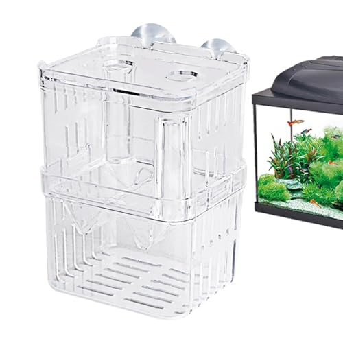 Trennwand für Fischzuchtbehälter, Fischzuchtnetz, Acryl, für Betta-Frittiere, Züchterbox, Guppy Fry Bruttank, Aquarium, Frittisolationsbox, Züchterbox für Babyfische Trennwand für Fischzuchtbehälter, Fischzuchtnetz, Acryl, für Betta-Frittiere, Züchterbox, Guppy Fry Bruttank, Aquarium, Frittisolationsbox, Züchterbox für Babyfische von Generic