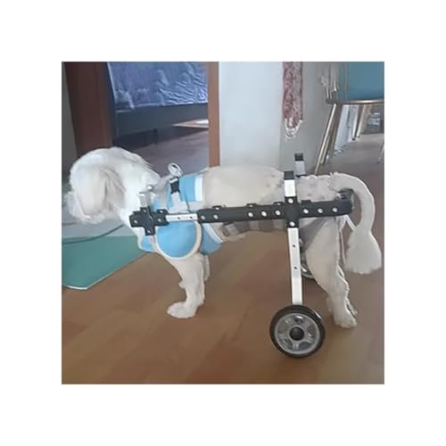 Verstellbarer Rehabilitationswagen Für Hunde, Haustier-Assistenzgerät, Rollstuhlwagen Mit 2 Rädern Für Die Hinterbeine Von Hunden Und Katzen, Mobilitätshilfe Für Behinderte Hunde(L) von Generic