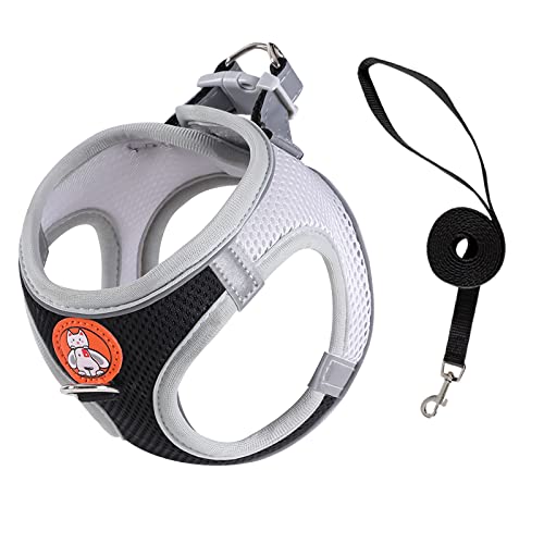 Verstellbares,atmungsaktive und bequemes Haustiergeschirr für Hunde und Katzen-Reflektierendes Brustgeschirr mitGurtband für Training und Outdoor-Aktivitäten-Ideal kleine,mittelgroße und große Tiere Verstellbares,atmungsaktive und bequemes Haustiergeschirr für Hunde und Katzen-Reflektierendes Brustgeschirr mitGurtband für Training und Outdoor-Aktivitäten-Ideal kleine,mittelgroße und große Tiere von Generic