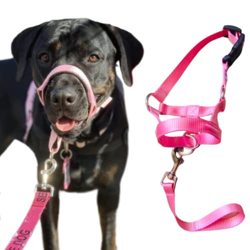 Verstellbares Hundehalsband, kein Ziehen, mit weicher Polsterung, Easy Walk und Outdoor-Trainingsgeschirr, für kleine, mittelgroße und große Hunde und Haustiere, Farbe Rosa, Größe M von Generic