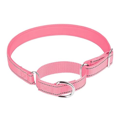 Verstellbares Nylonhalsband für Katzen und kleine und mittelgroße Hunde, ideal für Spaziergänge im Freien von Generic