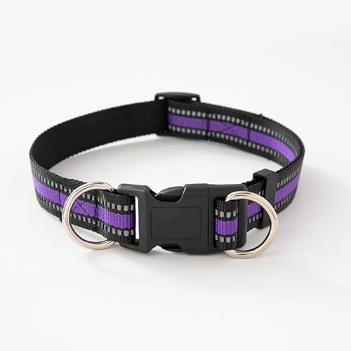 Verstellbares reflektierendes Nylonhalsband mit Leine für Hunde aller Größen ideal für nächtliche Ausflüge von Generic