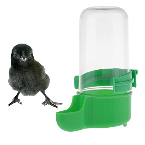 Vögel Automatischer Wasserspender Futterspender Vogel WasserspenderFutterspender Clip Futternapf Trinkflaschen Für Vögel Wellensittiche Nymphensittiche Papageien Geeignet Für Vogelkäfige 8 X von Generic