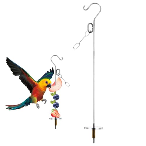 Vogelfruchthalter - Edelstahl Vogel Behandeln Spieß, Dekorative Haustiere Käfig Futtersuche An Reichtum Spielzeug Für Kleine Indem Sie Und Früchte Für Halten Und EinRassen Cockatiels Vogelfruchthalter - Edelstahl Vogel Behandeln Spieß, Dekorative Haustiere Käfig Futtersuche An Reichtum Spielzeug Für Kleine Indem Sie Und Früchte Für Halten Und EinRassen Cockatiels von Generic