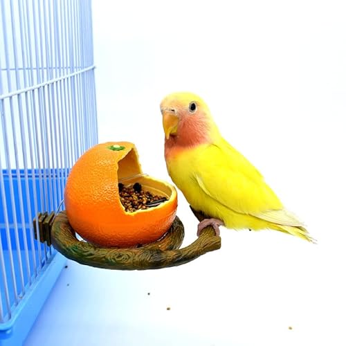 Vogelfutterstation aus Plastik mit Haken, ogelnapf Futter Schüssel Futternapf, Vogelfutterspender für Vögel, Futterbehälter für Vögel, Fütterungsbecher zum Aufhängen Käfig-Futterstation (orange) von Generic
