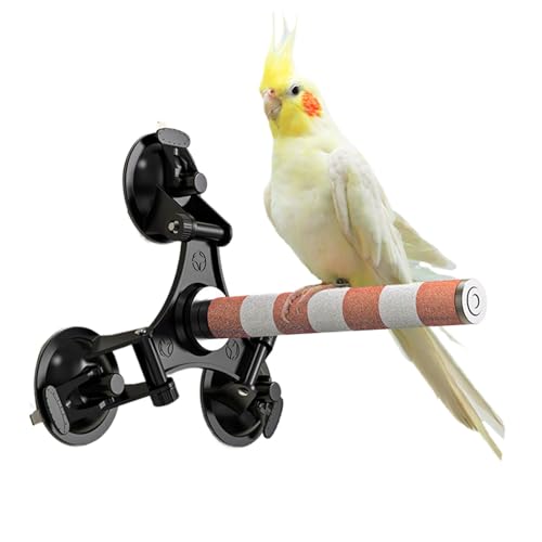 Vogelhalter für , Vogel-Kleiderbügel mit Saugnapf, Spielzeug für Papageien, Rankhilfe aus Keramik, für Nymphensittiche, Schildkröten, Vogelhalter für , Vogel-Kleiderbügel mit Saugnapf, Spielzeug für Papageien, Rankhilfe aus Keramik, für Nymphensittiche, Schildkröten, von Generic
