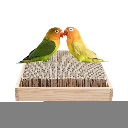 Vogelsitzstange,Pappe Zerleg Spielzeug | Kau Und Spiel Sitzstangen Zur Bereicherung Für Vögel Wie Finken Aras Nymphensittiche Keilschwanzsittiche Wellensittiche Für Drinnen Und Draußen In Vogelsitzstange,Pappe Zerleg Spielzeug | Kau Und Spiel Sitzstangen Zur Bereicherung Für Vögel Wie Finken Aras Nymphensittiche Keilschwanzsittiche Wellensittiche Für Drinnen Und Draußen In von Generic