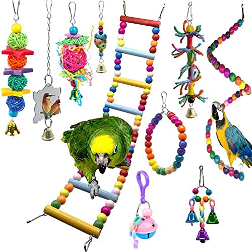 Vogelspielzeug 10 Stück A Packung Vogel Papagei Zubehör Barsch Swing Bell Spiegel Kauspielzeug Set von Generic
