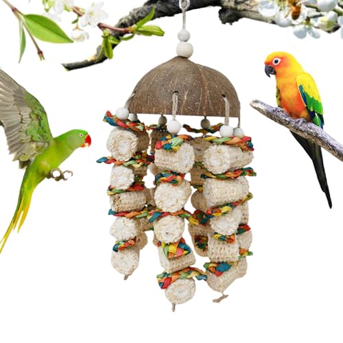 Vogelspielzeug in Kokosnussnuss und Maiskolben - natürliches Spiel für Käfige, Kautspielzeug für, Zubehör für exotische Vögel | Spielen von Generic