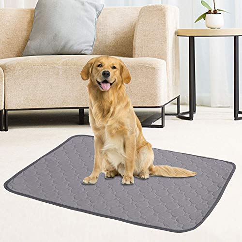 Waschbare Plapads für Hunde, Welpenpads Haustier Trainingspads für Hunde Katzen Kaninchen Plapads für Hunde Wiederverwendbare Hundepflaster Hundematten für Bodenschoner, Waschbare Plapads für Hunde, Welpenpads Haustier Trainingspads für Hunde Katzen Kaninchen Plapads für Hunde Wiederverwendbare Hundepflaster Hundematten für Bodenschoner, von Generic